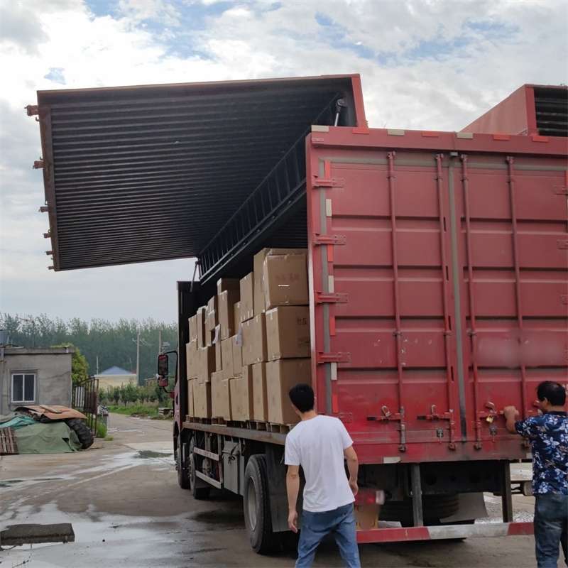 旅顺口区扎囊县：物流专线的高效货运之旅